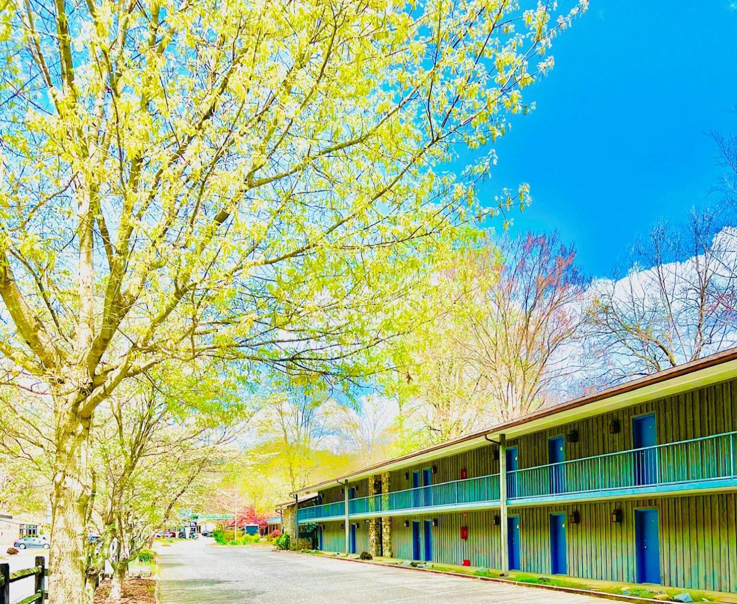 Newfound Lodge On The River Cherokee Exterior photo